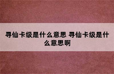 寻仙卡级是什么意思 寻仙卡级是什么意思啊